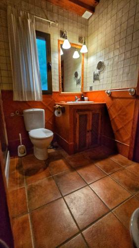 a bathroom with a toilet and a sink and a mirror at APARTAMENTOS La Colmena APT - 1 - AT-CC-00248 in Gata