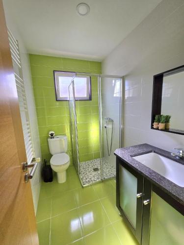 a bathroom with a shower and a toilet and a sink at Vikings AL in Areosa