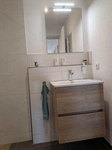 a bathroom with a sink and a mirror at Brunner Alm in Obertaufkirchen