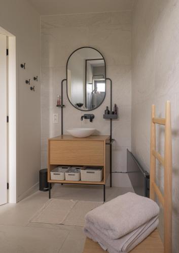 a bathroom with a sink and a mirror at CODAK suite in Kluisbergen