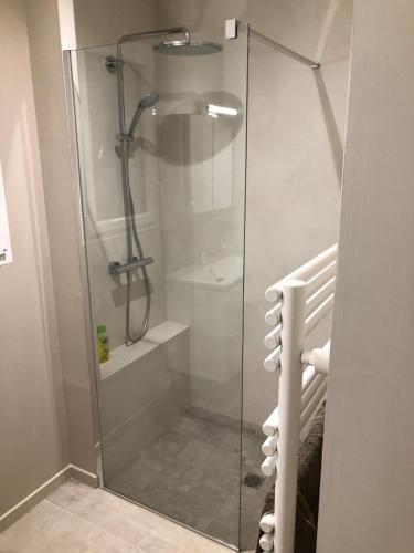 a shower with a glass door in a bathroom at Villa d Architecte Moderne spa et piscine in Niort