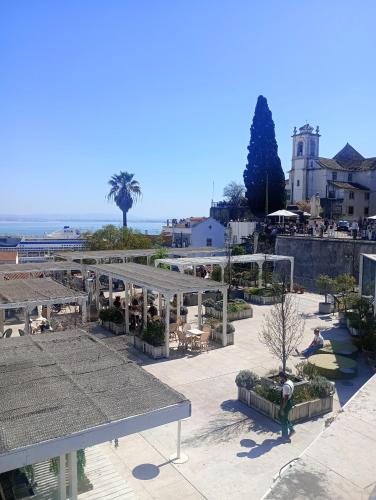 Alfama Little Gem