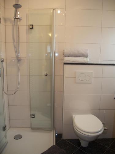 a bathroom with a toilet and a glass shower at Atelier Reinhart in Rauhenebrach