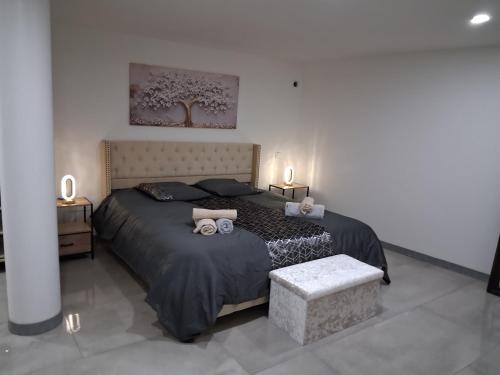 a bedroom with a large bed with two pillows at rozormant in Rosporden