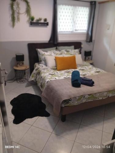 a bedroom with a bed with a cat laying on the floor at Large Studio in a cozy house in Ormesson-sur-Marne