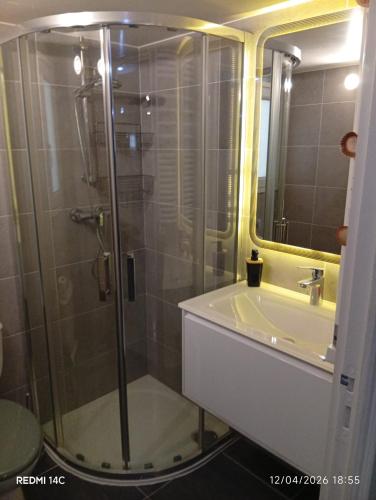 a bathroom with a shower and a sink at Large Studio in a cozy house in Ormesson-sur-Marne
