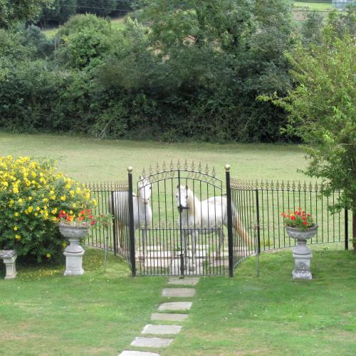 Cherry Orchard House – Photos 5