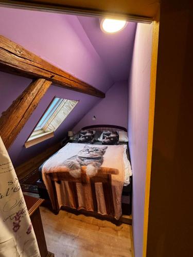 a bedroom with purple walls and a bed in a attic at Šumava apartmán U Kočiček in Strašice