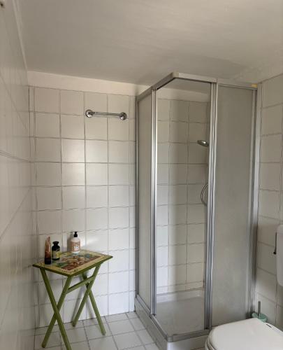 a bathroom with a shower and a toilet at Casa parrocchiale La Salle in La Salle