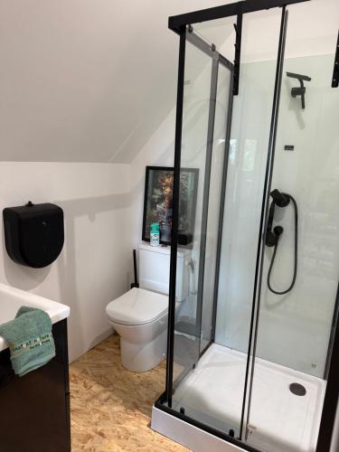 a bathroom with a toilet and a shower at Le Studio d'Instant Nature in Alexain