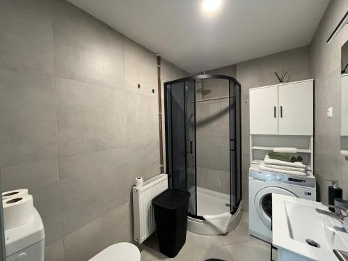 a bathroom with a shower and a washing machine at Apartman Lari in Vižinada