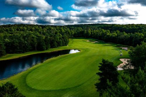 an aerial view of a golf course with a lake at Bird's Eye View at Hawk's Eye in Bellaire