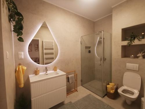 a bathroom with a sink and a shower with a mirror at River Apartman 2 in Odorheiu Secuiesc