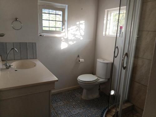 a bathroom with a toilet and a sink and a window at Natalie's Garden Cottage, in McGregor