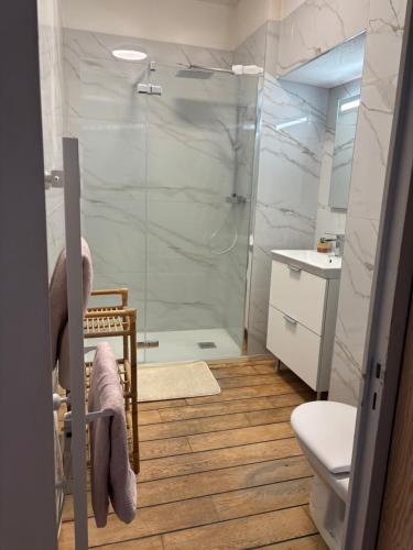 a bathroom with a shower and a toilet at Studio 1er Consul in Ajaccio