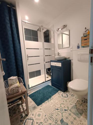 a bathroom with a toilet and a sink at le Pressoir Doretz in Arthon-en-Retz