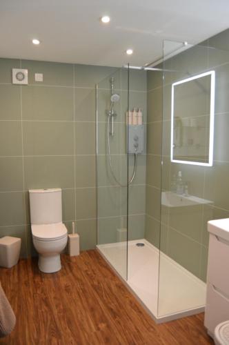 a bathroom with a shower with a toilet and a sink at Ness View Apartment in Inverness