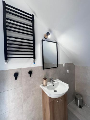 a bathroom with a sink and a mirror at Noclegi u Adama in Probark