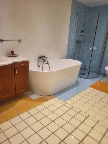 a bathroom with a tub and a shower and a sink at Torseke Hostel in Kristianstad