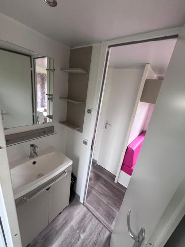 a bathroom with a sink and a bunk bed at Schilke24 - A017 in Boofzheim