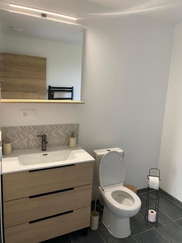 a bathroom with a toilet and a sink and a mirror at La Campagnarde in Pargny