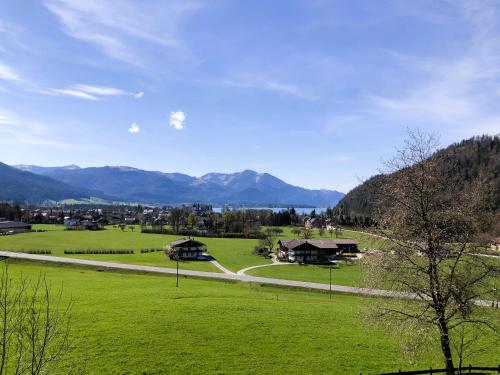 a field of green grass with mountains in the background at Seestern Strobl in Strobl
