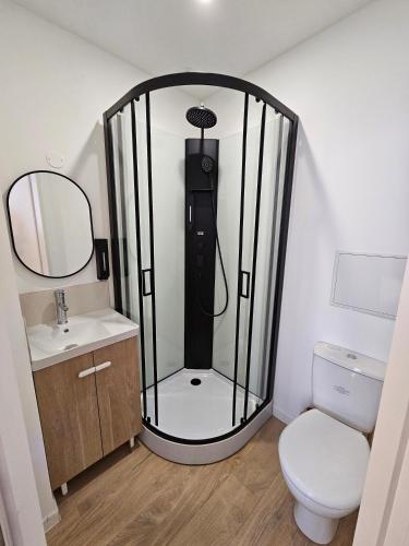 a shower in a bathroom with a toilet and a sink at LD Atmosphère in Saint-Quentin