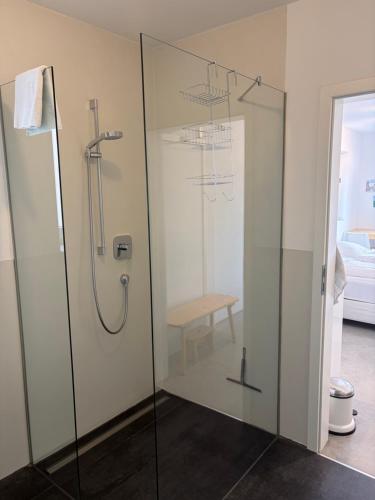 a shower with a glass door in a bathroom at Studio mit Alpenblick und privaten Terrasse in Kleinweil