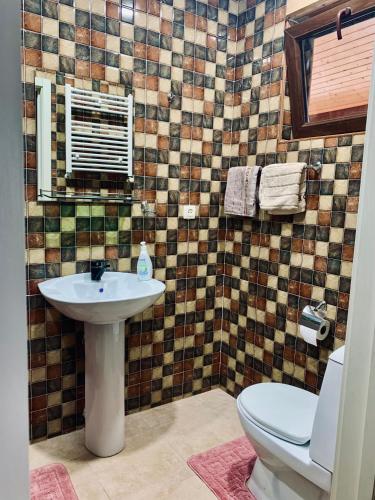 a bathroom with a sink and a toilet at Nukriani Keiptauni Residence in Sighnaghi