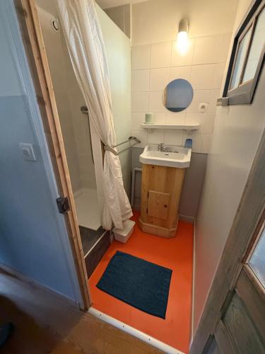 a small bathroom with a sink and a shower at File dans ta chambre ! in Le Monastier sur Gazeille