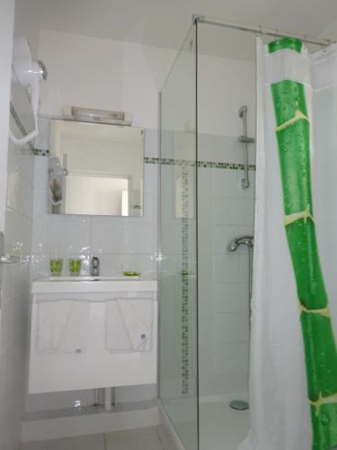 y baño con ducha acristalada y lavamanos. en Les Créolines, en Sainte-Luce