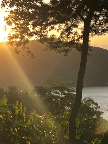a sunset with a tree and a body of water at Casa Botanique Jungle Retreat in Abraão