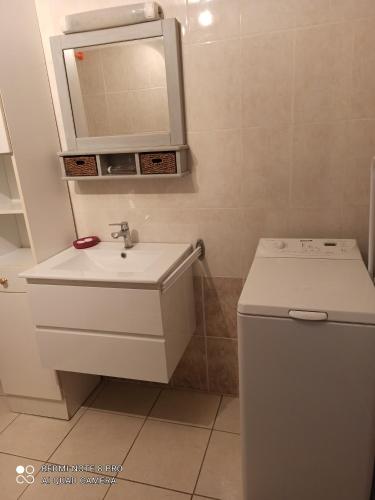 a bathroom with a sink and a mirror and a toilet at Gite à Valleraugue Gard Cevennes in Valleraugue