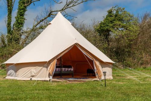 a large white tent in a field of grass at Furnished Bell Tent 1 in St Austell