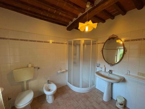 a bathroom with a shower and a toilet and a sink at La Benabbiana in Bagni di Lucca