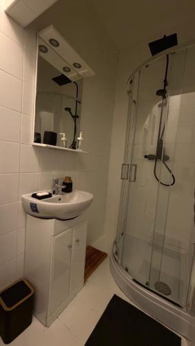 a bathroom with a sink and a shower at Boldog Deluxe apartman in Szolnok
