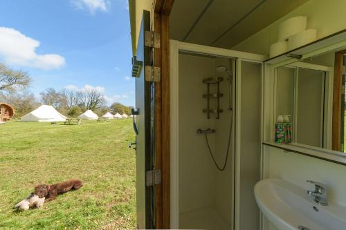 a bathroom with a sink and a dog laying in the grass at Furnished Bell Tent 1 in St Austell