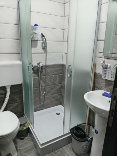 a shower in a bathroom with a toilet and a sink at Gagin San -apartman na plaži in Veliko Gradište