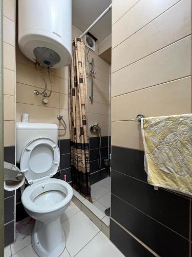 a bathroom with a toilet and a shower at Sheshi-Prizren in Prizren