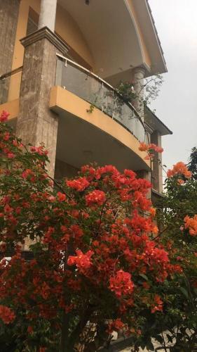 a tree with red flowers in front of a building at Kim An Sadec Garden House in Ấp Tân An (2)