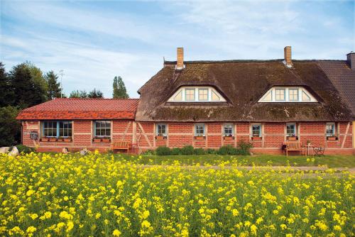 a house with a field of yellow flowers in front of it at Landhaus Maltzien - Auszeit auf dem Land in Maltzien