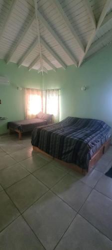 a bedroom with a large bed and a window at Hillcrest Haven in Kingstown
