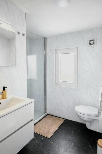 a bathroom with a sink and a toilet and a window at Colibri Huisje in Haarle