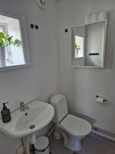 a bathroom with a sink and a toilet and mirrors at Vedmyrastugan in Delsbo