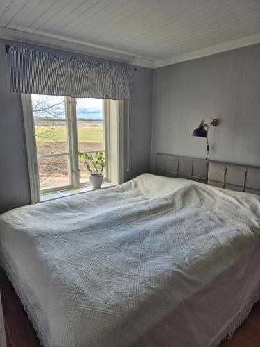 a bedroom with a large white bed with a window at Vedmyrastugan in Delsbo