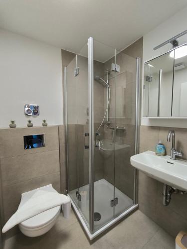 a bathroom with a shower and a toilet and a sink at Wind und Meer in Langeoog