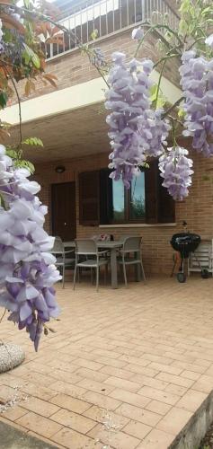 a bunch of purple flowers hanging over a patio at La Casa delle Ciliegie in Assisi