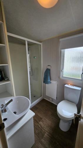 a bathroom with a white toilet and a sink at Maison de Lucie à Tholen in Poortvliet
