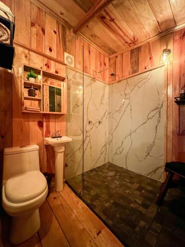 a bathroom with a toilet and a shower and a sink at Biciting Combi Love Glamping with Jacuzzi and Views in Mineral del Chico