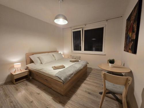 Cozy Urban Studio